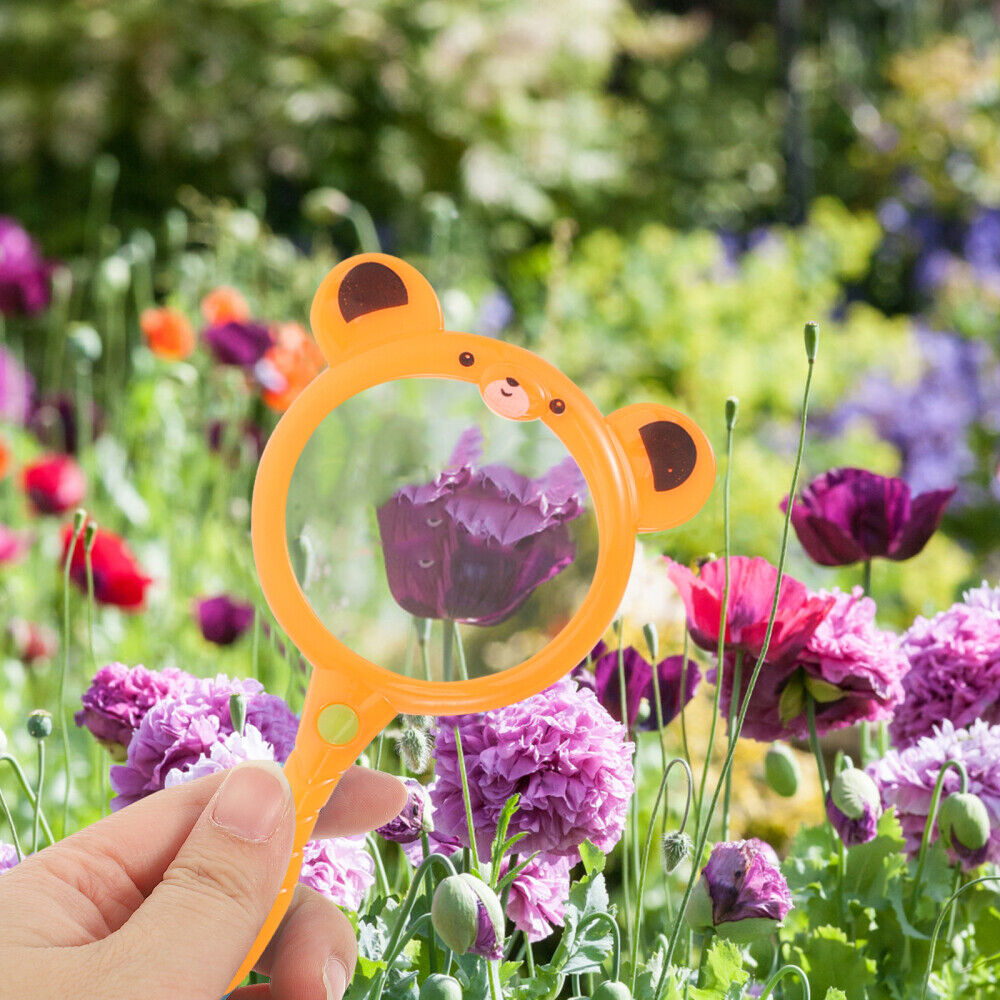 new  2 Pcs Explore Magnifier Kids Toy Reading Supply Outdoor Toys for Toddler Pupils koeek - KOEEK