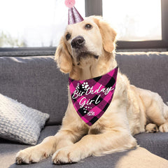 ny Hundebursdagslue Hundebursdagsantrekk Hundebursdagslue Bandana Festrekvisita