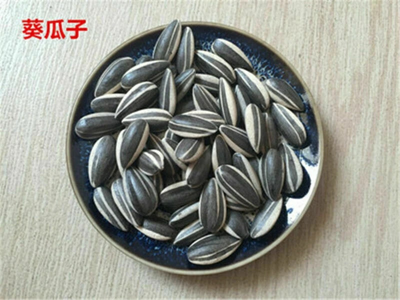 US STOCK 100pcs Art Ai Weiwei Porcelain Sunflower Seeds Decoration Collection 07FC0E-D4 - KOEEK