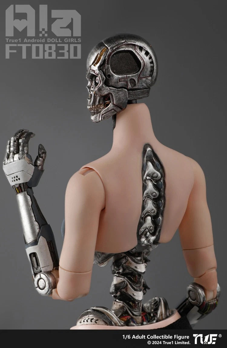 True1 Toys Android Ala 1/6 Female Action Figure Model Collection Official 12'' 07FC0E-D4 - KOEEK