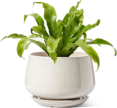 Ceramic Planter with Drainage Hole and Tea Tray Beige Reactive Glaze Planter