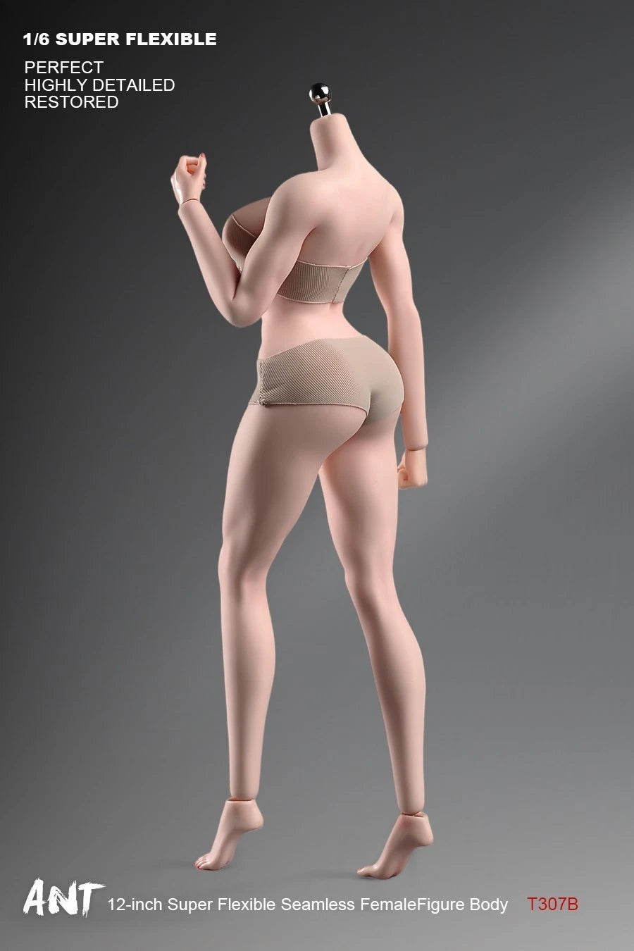 ANT T307 1/6 Female Normal Sexy Large Bust Muscle Plump Body For 12''Figure 07FC0E-D4 - KOEEK