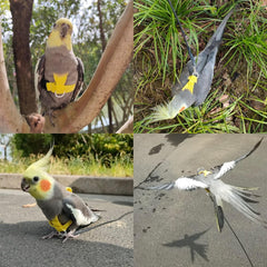new Bird Harness with Buckle Clip and a Leash, Easy to Wear for S, Yellow 07FC0E-D4 - KOEEK