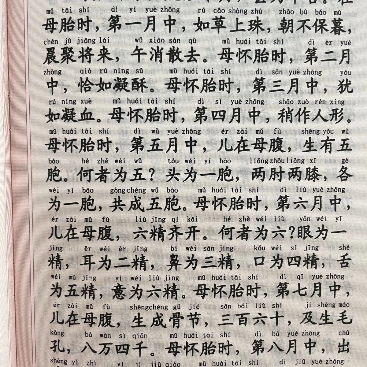 Simplified Large Print with Pinyin Recitation Buddhist Sutra Textbook 07FC0E-D4 - KOEEK