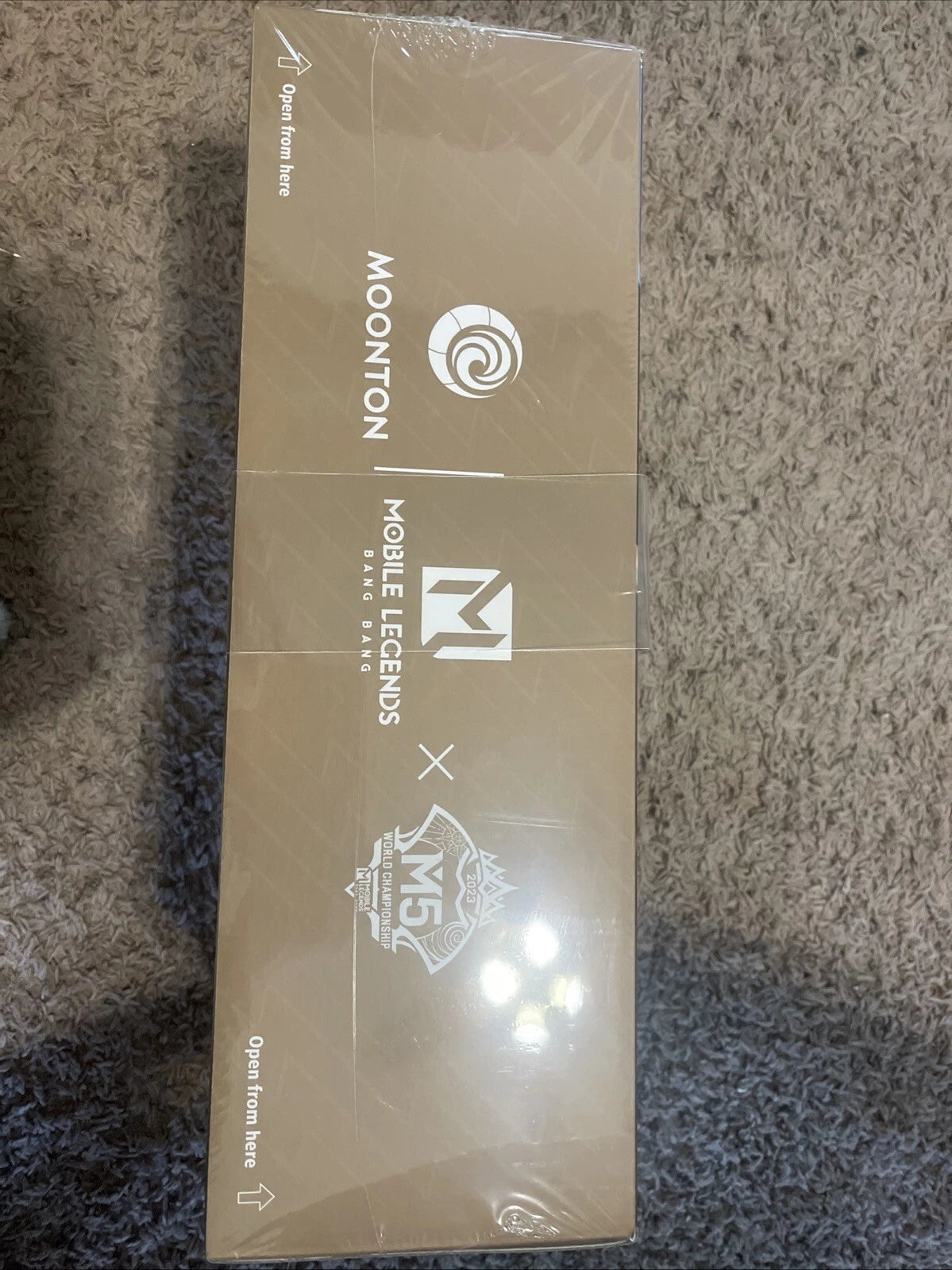 Mobile Legends M5 World Championship Yu Zhong Action Figurine MLBB Bang Bang 07FC0E-D4 - KOEEK