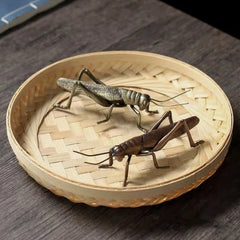 14cm Chinese Brass Grasshopper Ornament Retro Tea Pet Decoration Handicraft 07FC0E-D4 - KOEEK