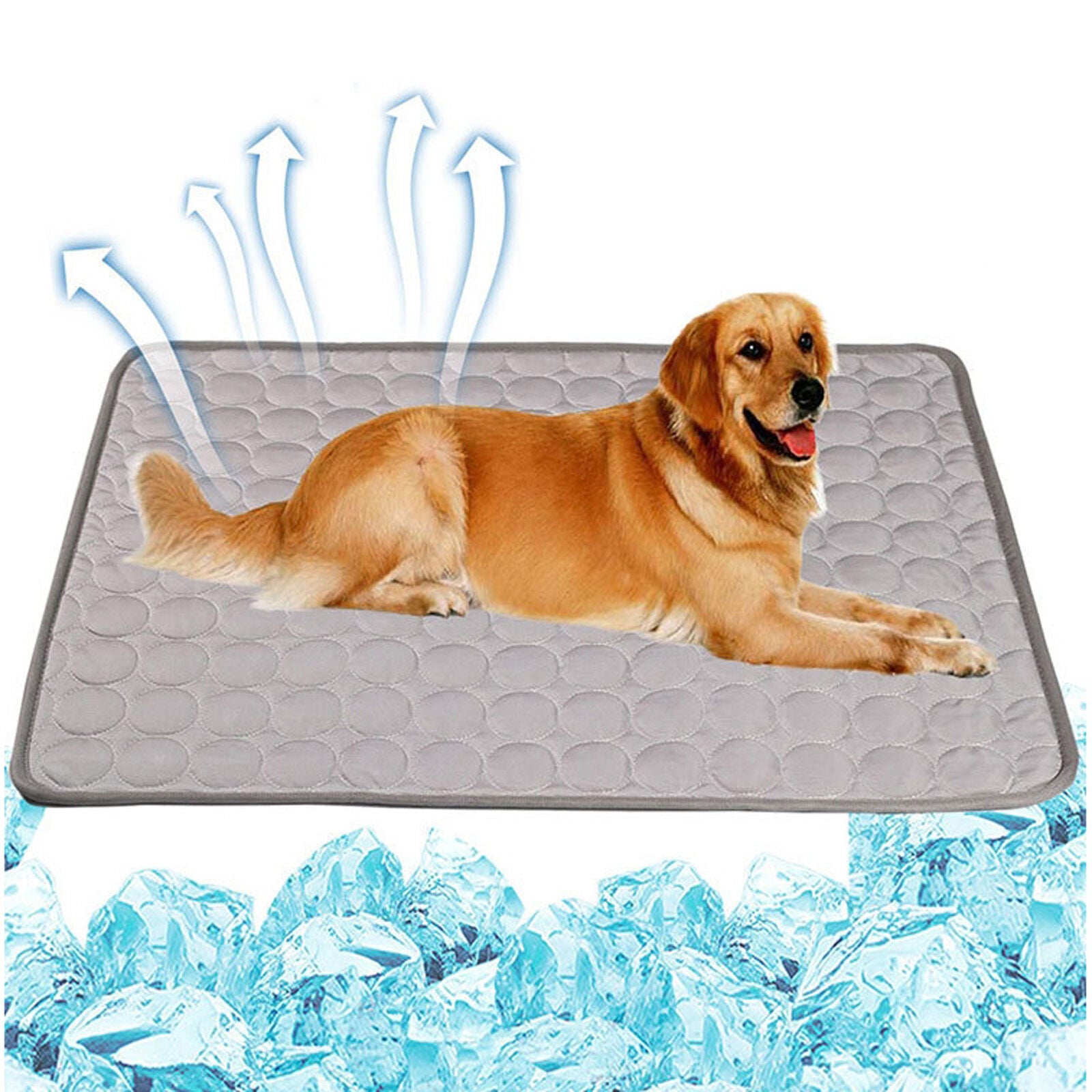 new Dog Mat Cooling Summer Pad Mat Pet Dog Cat Blanket for Sofa Bed Floor Keep Cool koeek - KOEEK