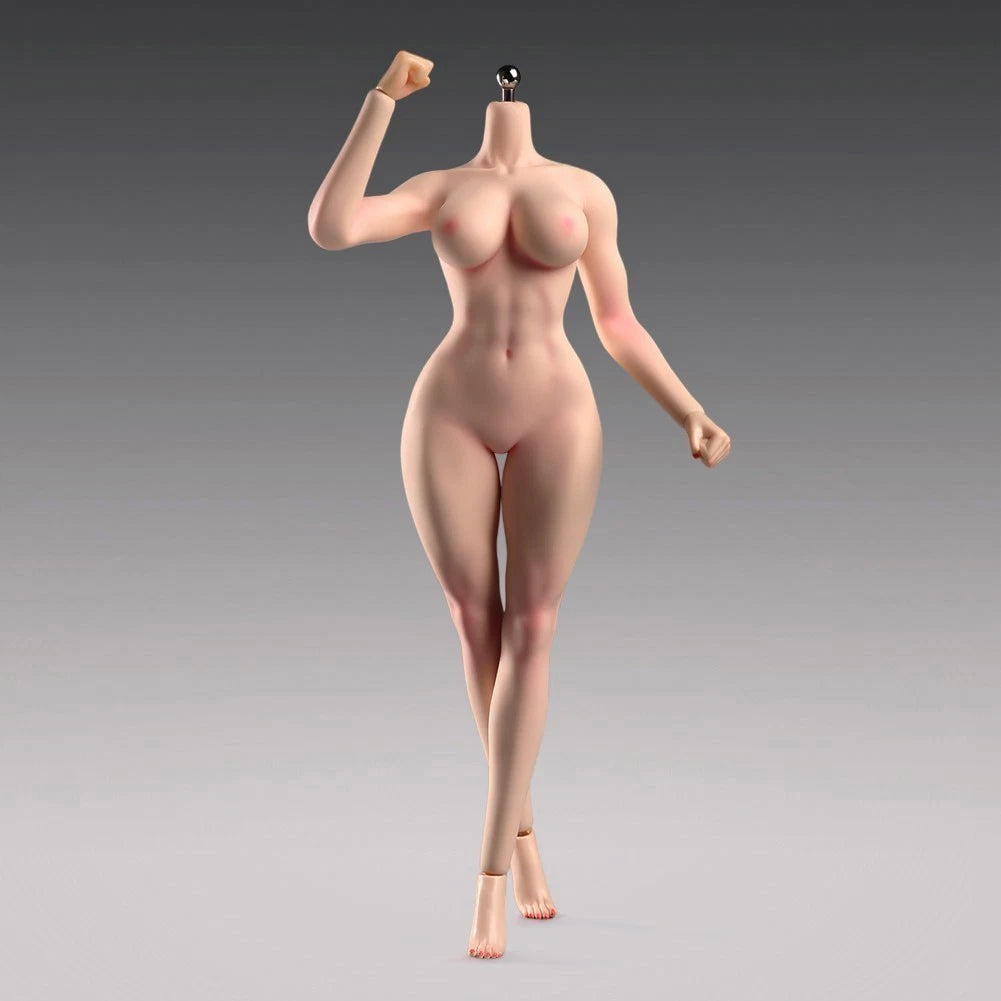 ANT T307 1/6 Female Normal Sexy Large Bust Muscle Plump Body For 12''Figure 07FC0E-D4 - KOEEK