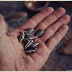 200PCS Art Ai Weiwei Porcelain Sunflower Seeds LONDON TATE MODERN Collection 07FC0E-D4 - KOEEK