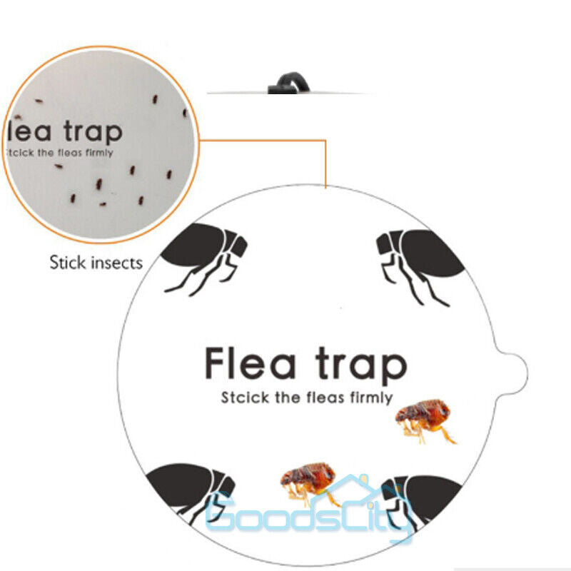 ny 10/20X engangsmærkat Trapest Sticky Dome Loppefælde Refill til Victor Trap