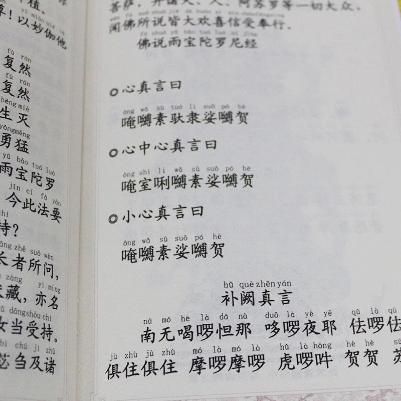 Buddha's Teaching on Rain Jewel Dharani Large Print Pinyin Buddhist Textbook 07FC0E-D4 - KOEEK