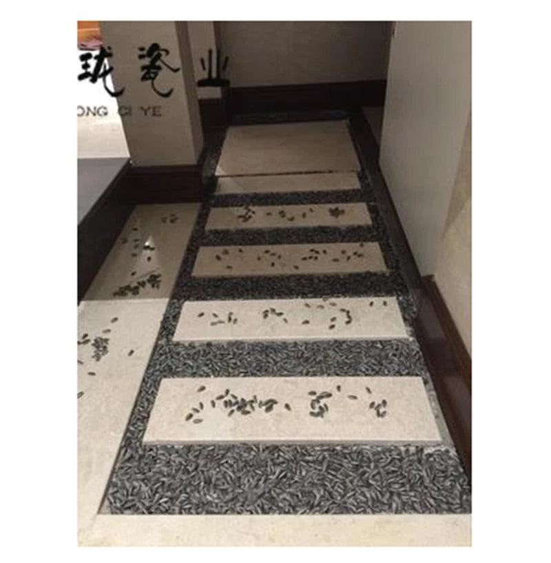 100PCS Art Ai Weiwei Yixing Porcelain Sunflower Seeds Decoration Collection 07FC0E-D4 - KOEEK