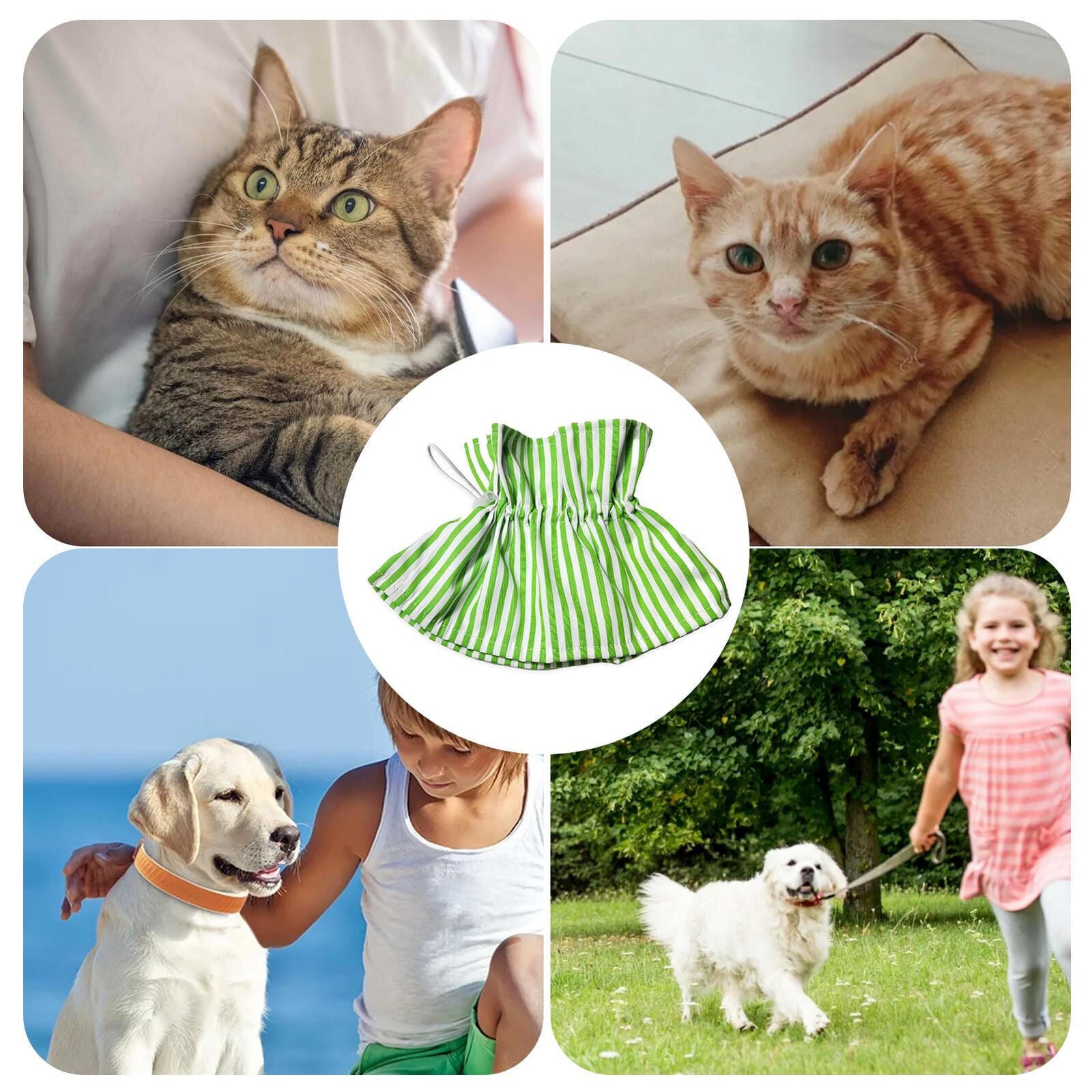 ny Elizabethan Pet Protective Collar Dog Cat Soft Cone Wound Healing Recovery