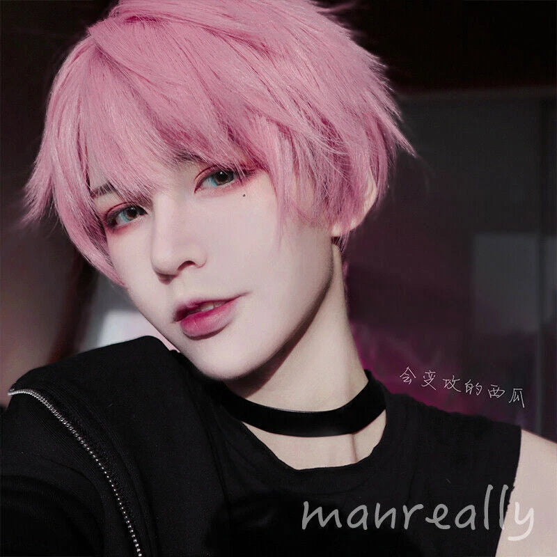 Daily Fluffy Men Short Hair Cosplay Kawaii Boys Full Wig Pink Hairpiece Gift 07FC0E-D4 - KOEEK