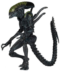 NECA Grid Alien Xenomorph Warrior AVP 7" Action Figure 1:12 Aliens Series 7 NECA - KOEEK