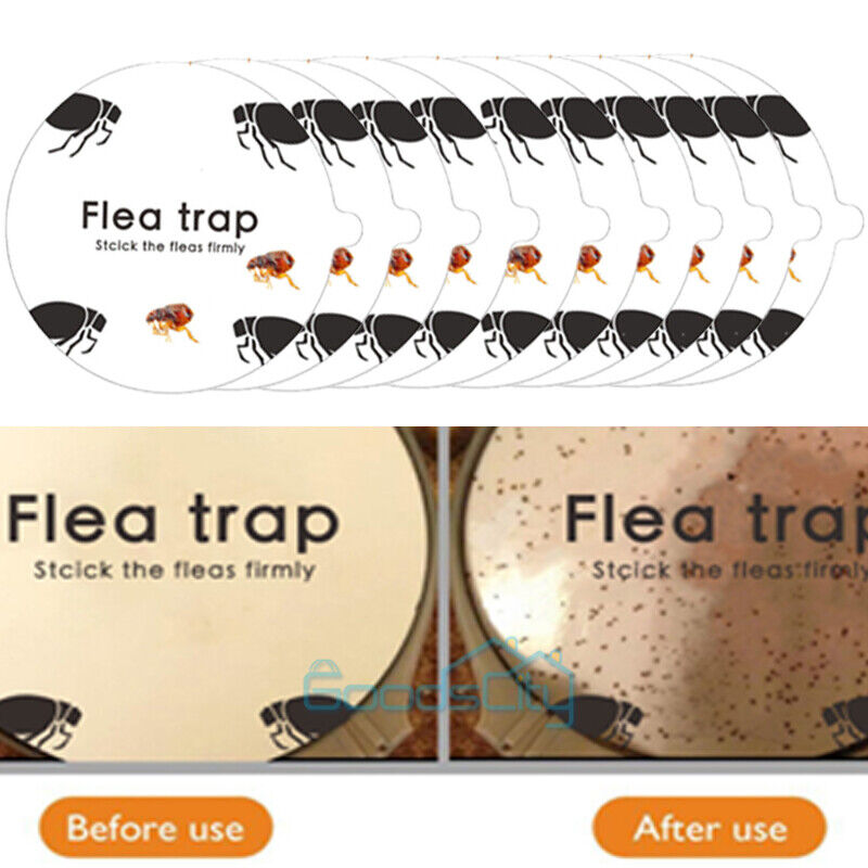 ny 10/20X engangsmærkat Trapest Sticky Dome Loppefælde Refill til Victor Trap