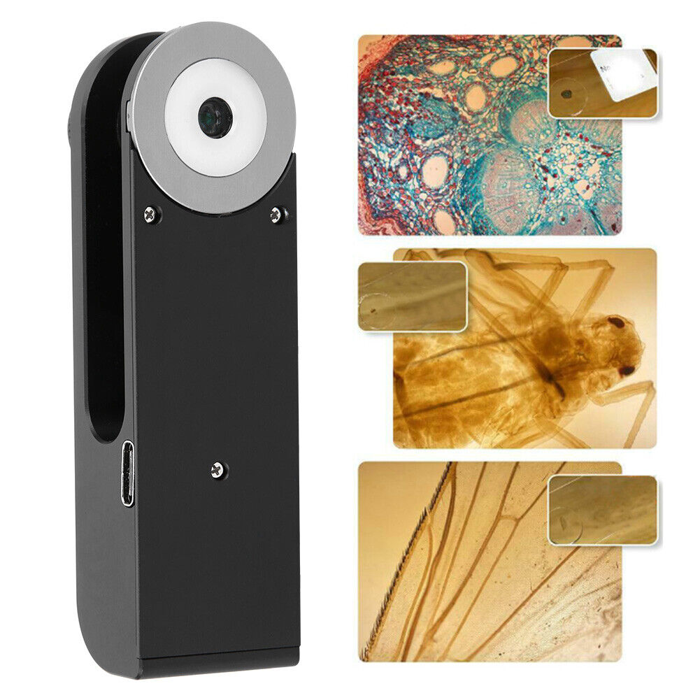 new 400X Zoom Microscope Camera For Mobile Phone LED Light High Magnification koeek - KOEEK