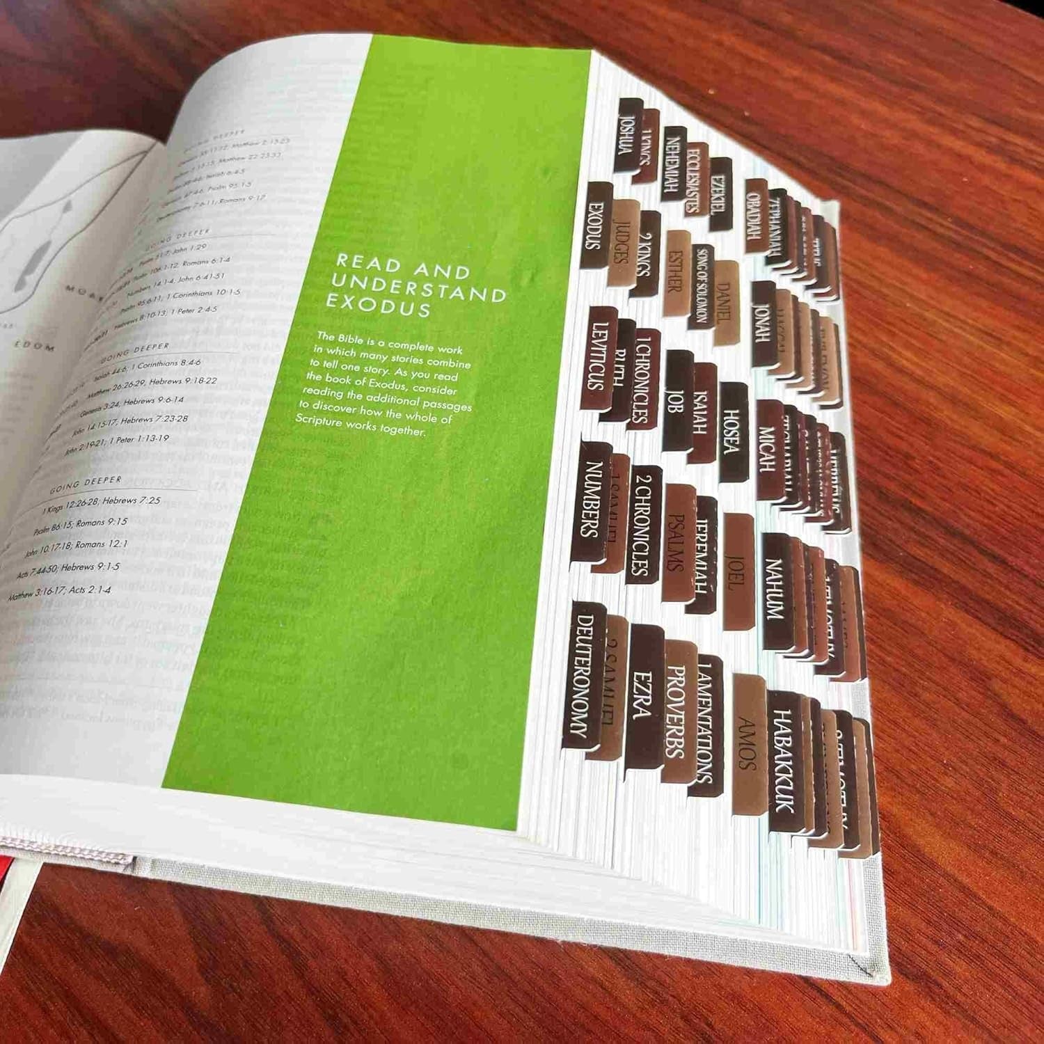 new Thinkor Reposition Laminated Bible Tabs, Large Print Stickers, Earthy Brown THINKOR - KOEEK