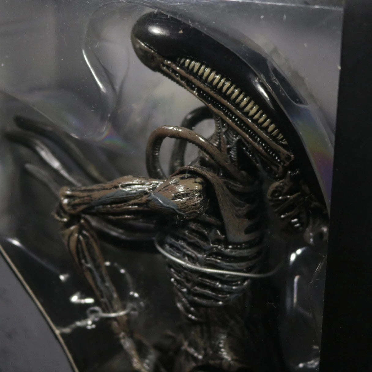 NECA Alien Covenant Xenomorph Warrior 7" Action Figure 1:12 Aliens In Stock NECA - KOEEK
