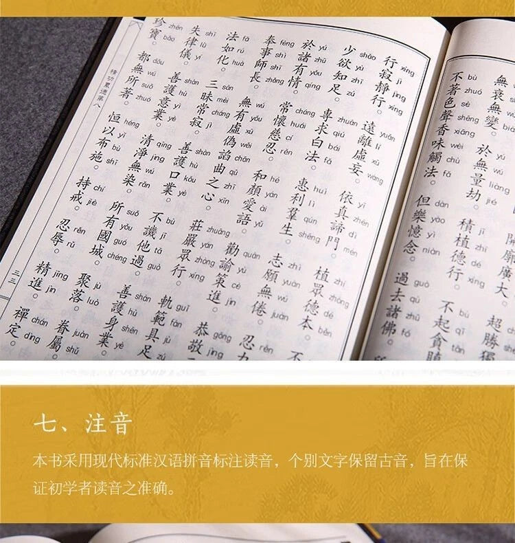 Buddha's Teaching on the Infinite Life Sutra Chinese Classics Reading Textbook 07FC0E-D4 - KOEEK