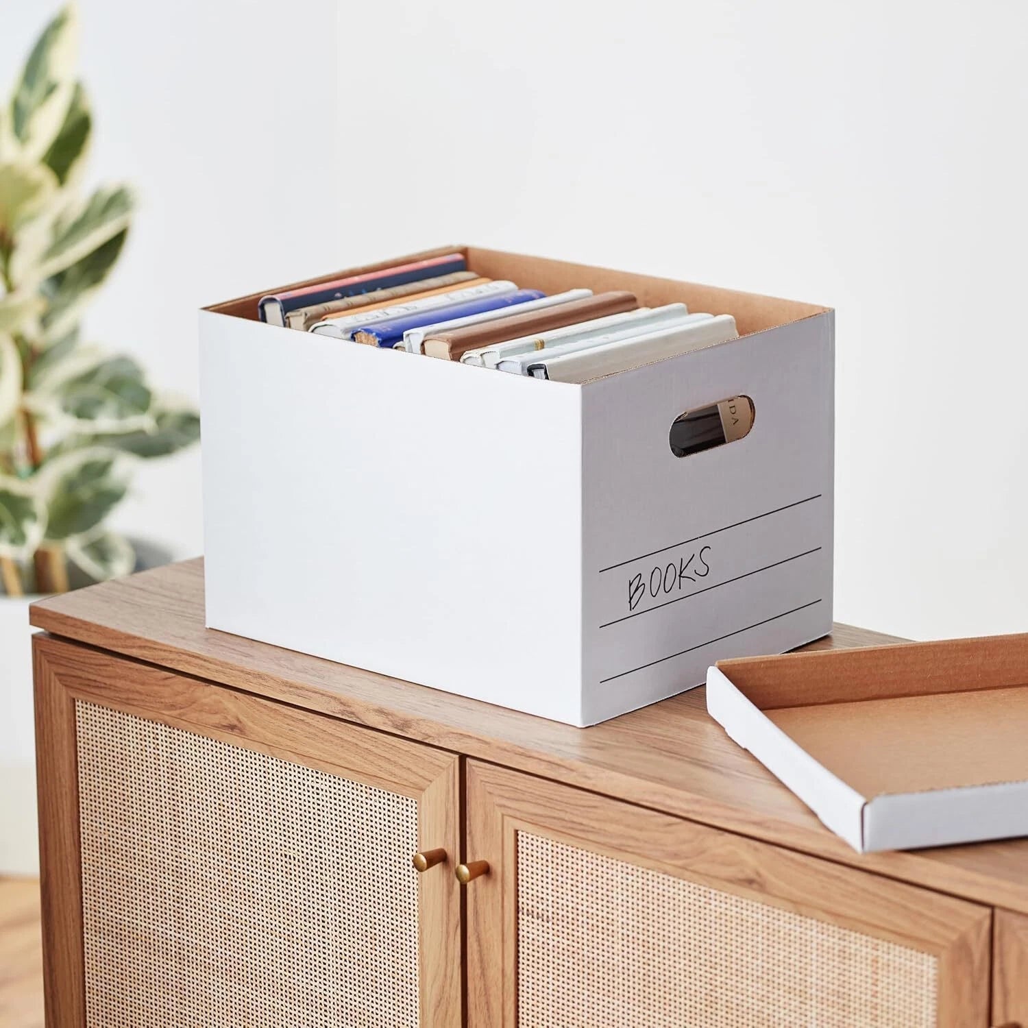 Storage and Documentation Box with Lid and Handles, Basic, 20-Piece, White 07FC0E-D4 - KOEEK