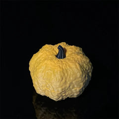 Creative Pumpkin Look Magnetic Fidget Clicker EDC Adult Fidget Toys ADHD Tool 07FC0E-D4 - KOEEK