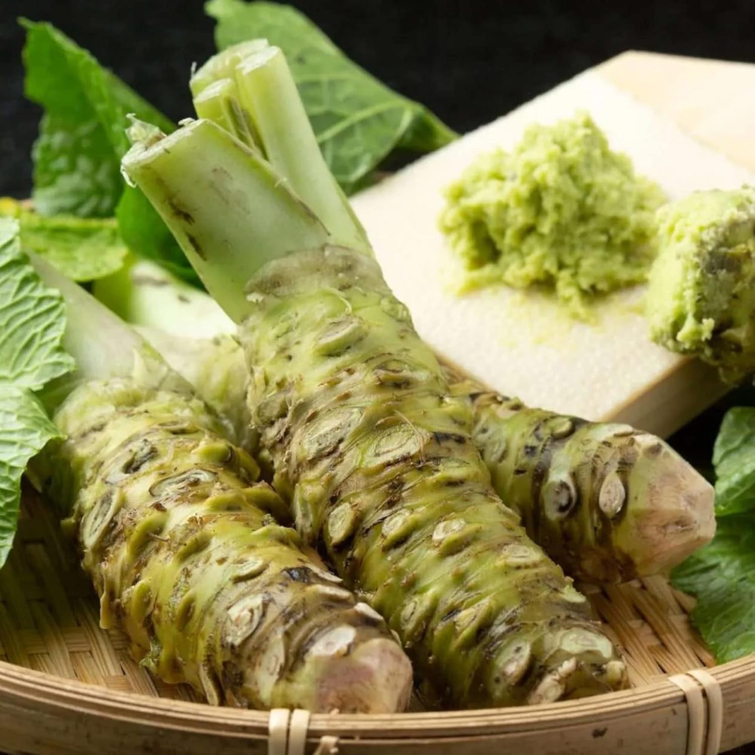 new Wasabi Seeds Japanese Horseradish  to Make Spicy Condiment Pungent Green 07FC0E-D4 - KOEEK