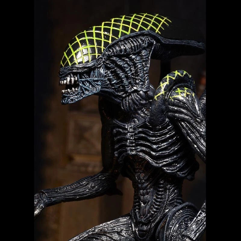 NECA Grid Alien Xenomorph Warrior AVP 7" Action Figure 1:12 Aliens Series 7 NECA - KOEEK