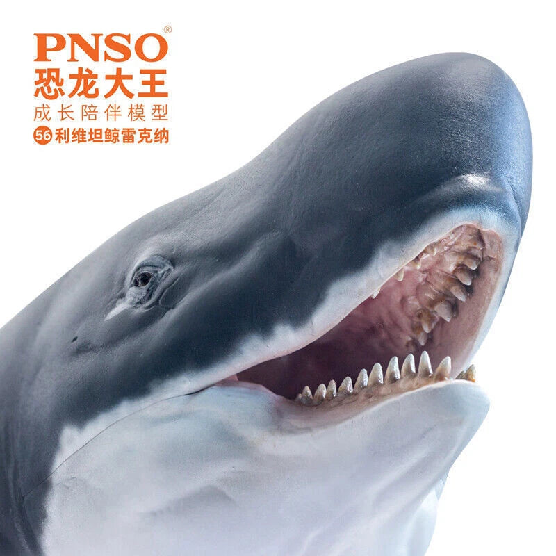 PNSO Livyatan Reyna Dinosaur Statue Animal Model PVC Display Toy IN STOCK PNSO - KOEEK
