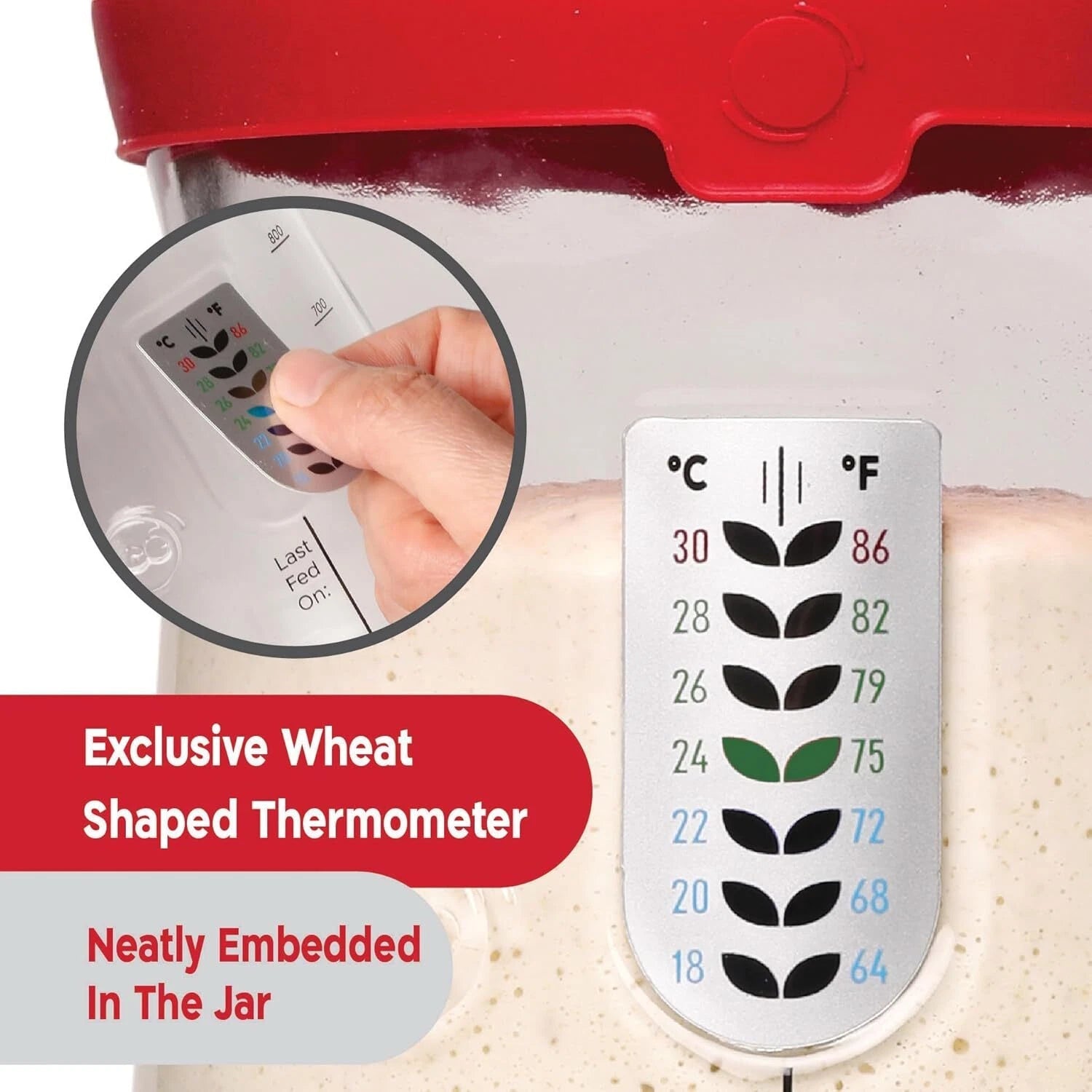 Professional Sourdough Bread Starter Kit with 5 Unique Features 07FC0E-D4 - KOEEK
