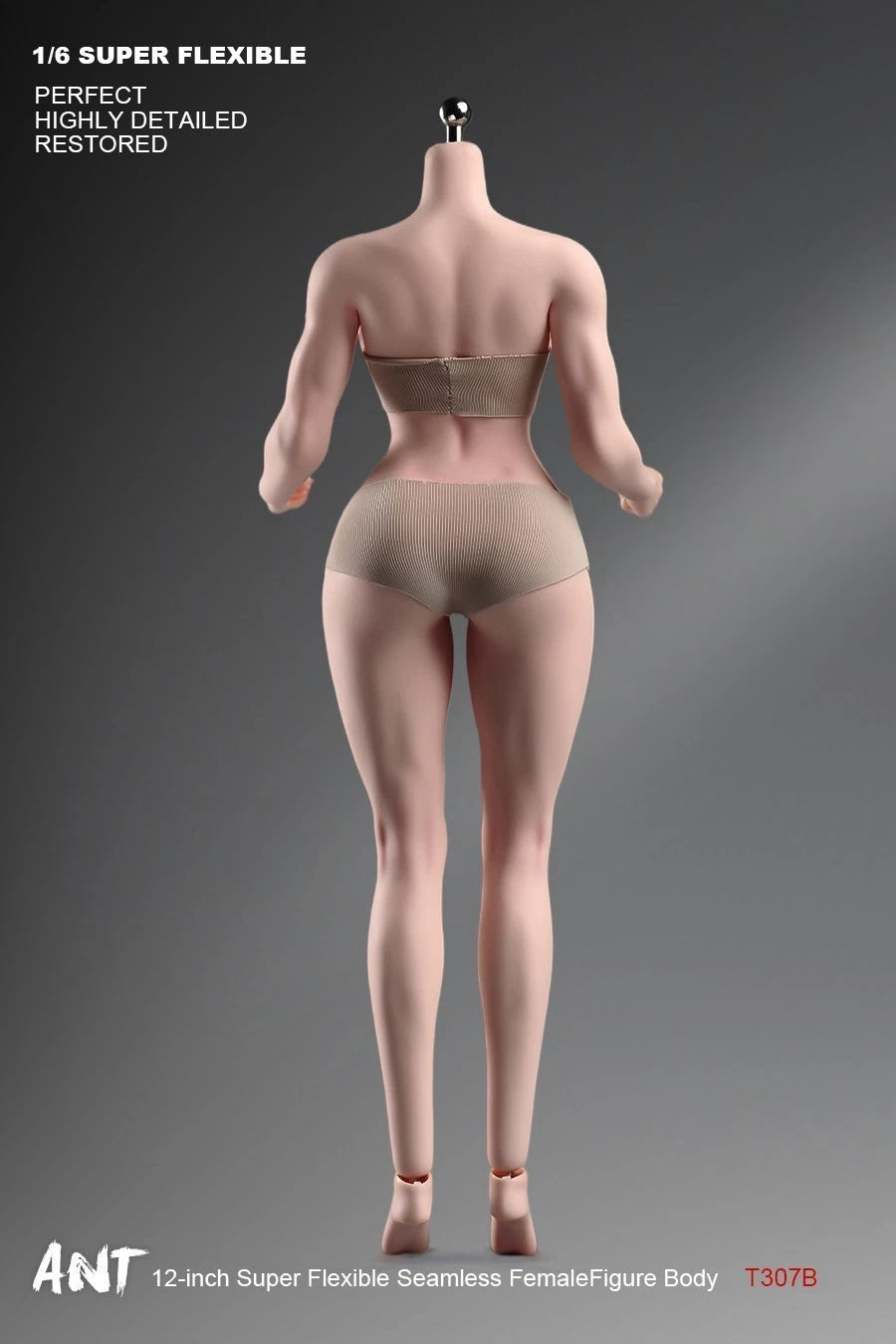 ANT T307 1/6 Female Normal Sexy Large Bust Muscle Plump Body For 12''Figure 07FC0E-D4 - KOEEK