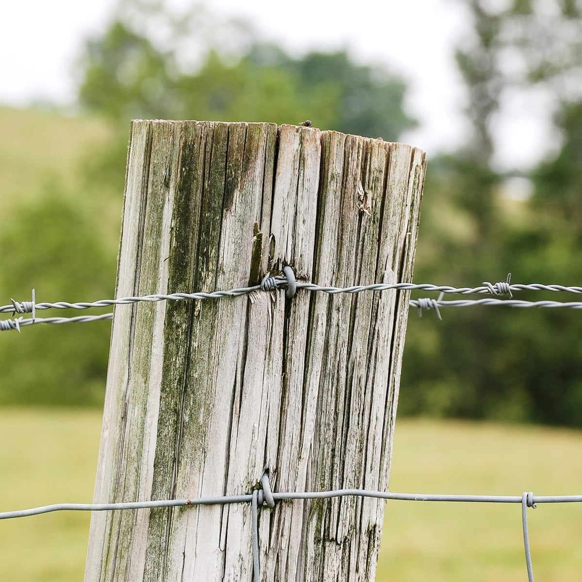 new Bates Choice Fence Staples, 200 pcs, 1" Galvanized Steel, Silver, U Silver BATES CHOICE - KOEEK