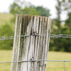 new Bates Choice Fence Staples, 200 pcs, 1" Galvanized Steel, Silver, U Silver BATES CHOICE - KOEEK