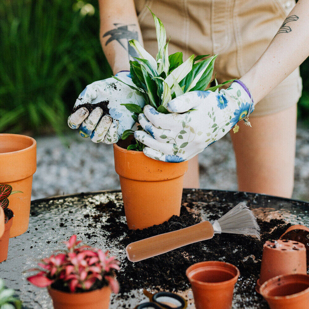 nytt 1 sett blomsterplanter av håndbladgrabbere nåleretting