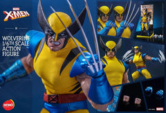 Hot Toys Hono Studio HS01 Marvel Comics Wolverine 1/6 Action Figure Toy Gift 07FC0E-D4 - KOEEK