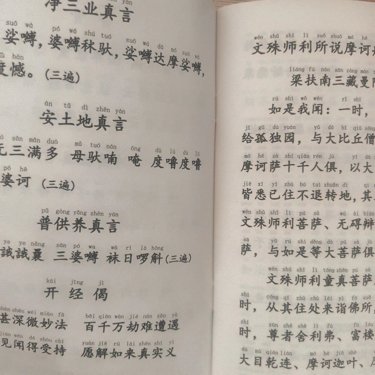 Manjushri's Teaching on Mahaprajnaparamita Sutra Simplified Pinyin Recitation 07FC0E-D4 - KOEEK