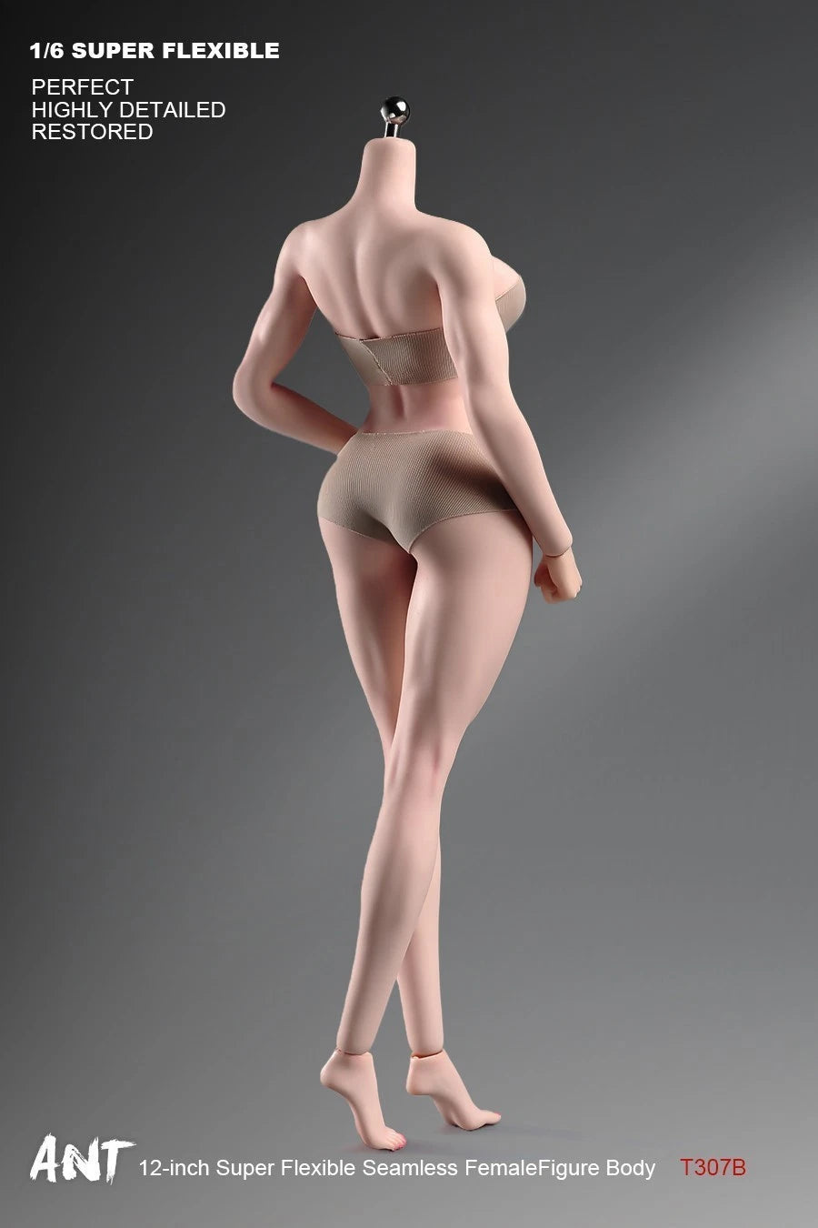 ANT T307 1/6 Female Normal Sexy Large Bust Muscle Plump Body For 12''Figure 07FC0E-D4 - KOEEK