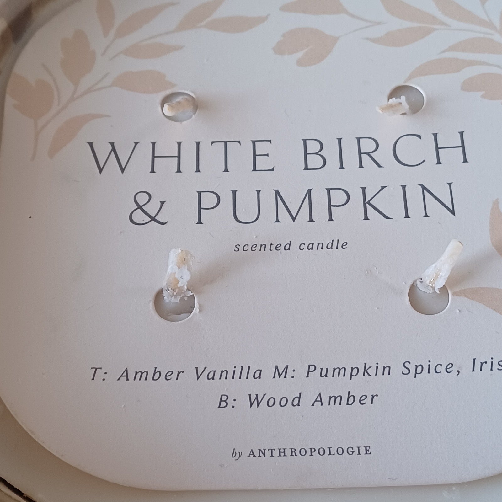 ANTHROPOLOGIE PEBBLE WHITE BIRCH & PUMPKIN GLASS CANDLE HUGE VERY LGE FENG SHUI ANTHROPOLOGIE - KOEEK