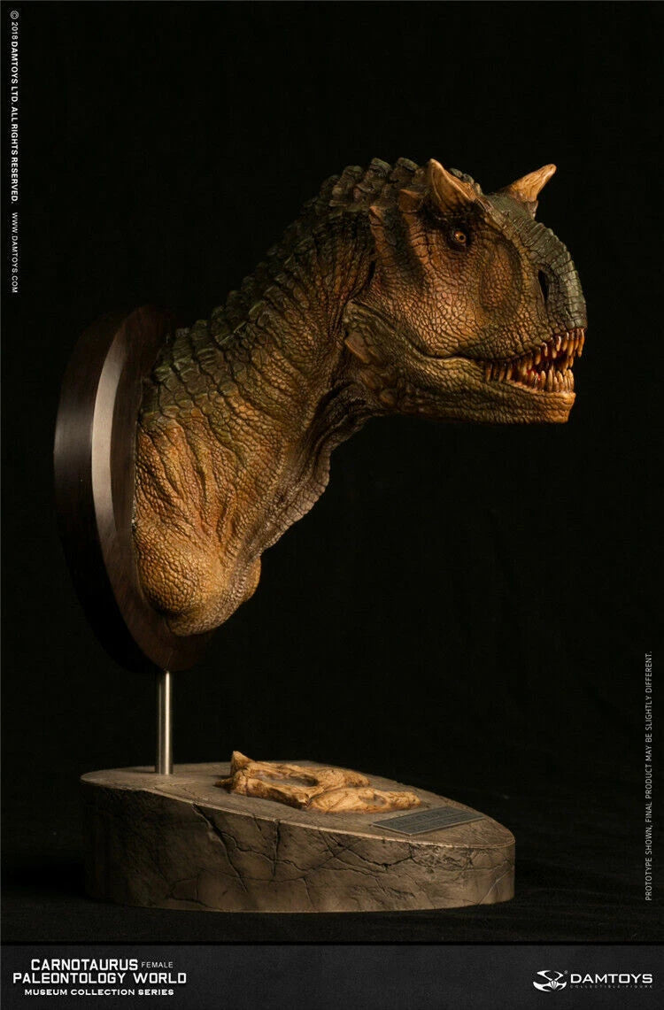 DAMTOYS Carnotaurus Female Head Bust Dinosaur Statue Model Display MUS006A DAMTOYS - KOEEK
