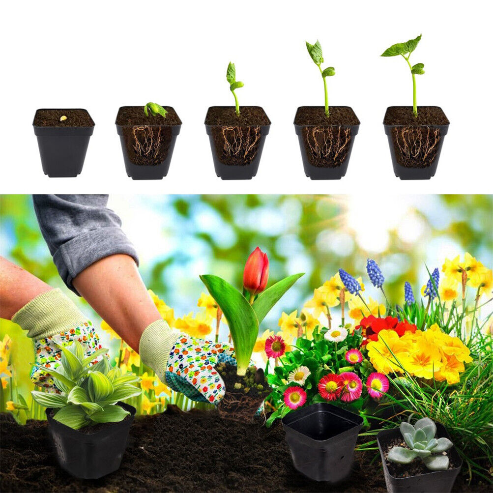 100 Pack 4" Square Plastic Seedling Pots Nursery Seeds Starting Plants Cuttings