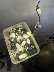 3 Sets NOMA Quick-Clip LED Christmas Lights – Warm White NOMA - KOEEK