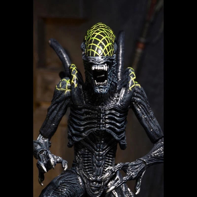 NECA Grid Alien Xenomorph Warrior AVP 7" Action Figure 1:12 Aliens Series 7 NECA - KOEEK