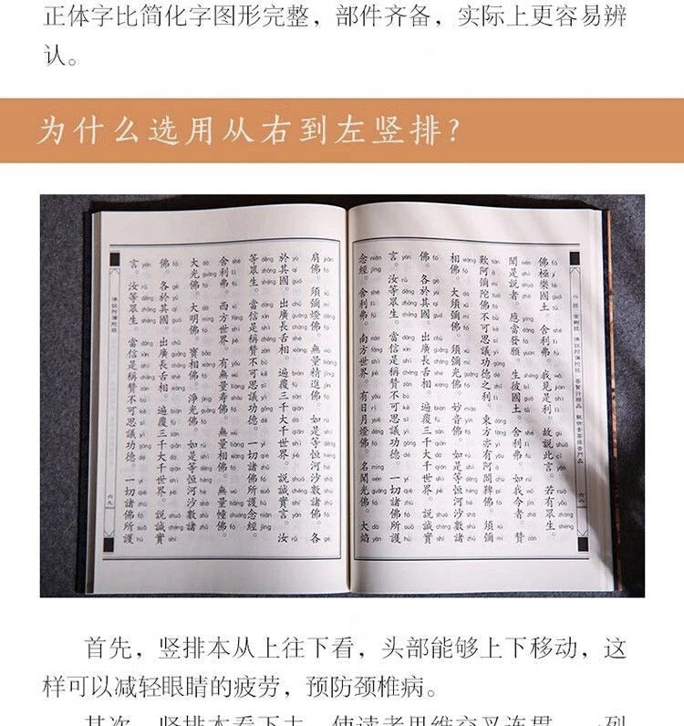Heart Sutra Diamond Sutra Large Print with Pinyin Traditional Vertical Reading 07FC0E-D4 - KOEEK
