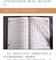 Heart Sutra Diamond Sutra Large Print with Pinyin Traditional Vertical Reading 07FC0E-D4 - KOEEK