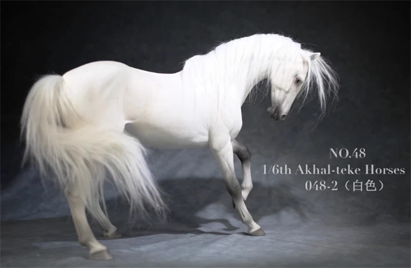 Mr.Z 1:6 Scale Animal Resin Akhal-Teke Horse Figure 6 Color Simulation Toy 07FC0E-D4 - KOEEK
