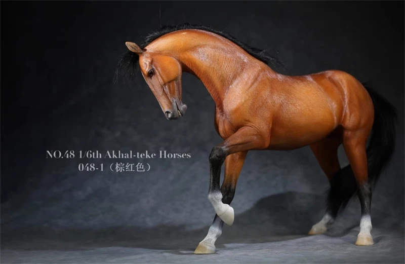 Mr.Z 1:6 Scale Animal Resin Akhal-Teke Horse Figure 6 Color Simulation Toy 07FC0E-D4 - KOEEK