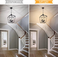 4 LampChandelier Industrial Ceiling Light,Black Lantern FixtureHeight Adjustable 07FC0E-D4 - KOEEK