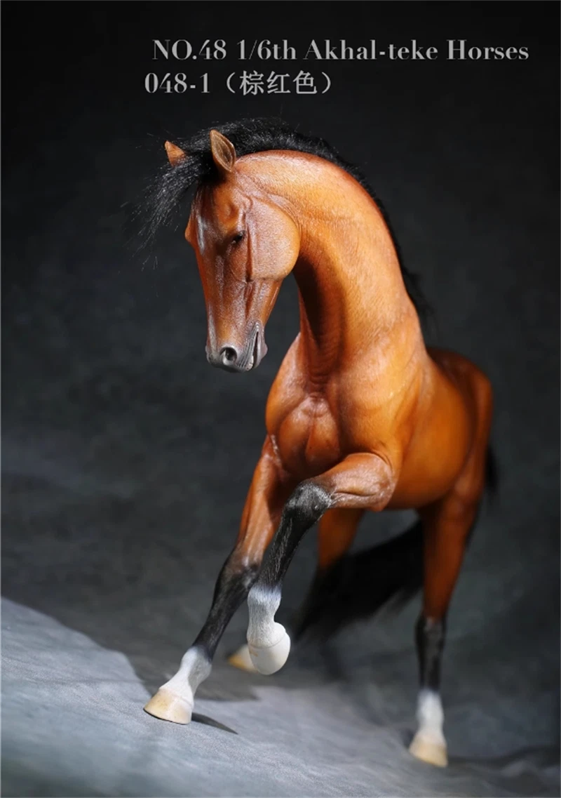 Mr.Z 1:6 Scale Animal Resin Akhal-Teke Horse Figure 6 Color Simulation Toy 07FC0E-D4 - KOEEK