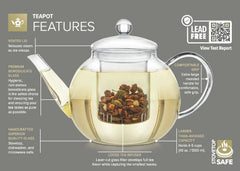 Heatproof Borosilicate Glass Teapot (34 OZ) Removable Loose Tea Glass Infuser 07FC0E-D4 - KOEEK