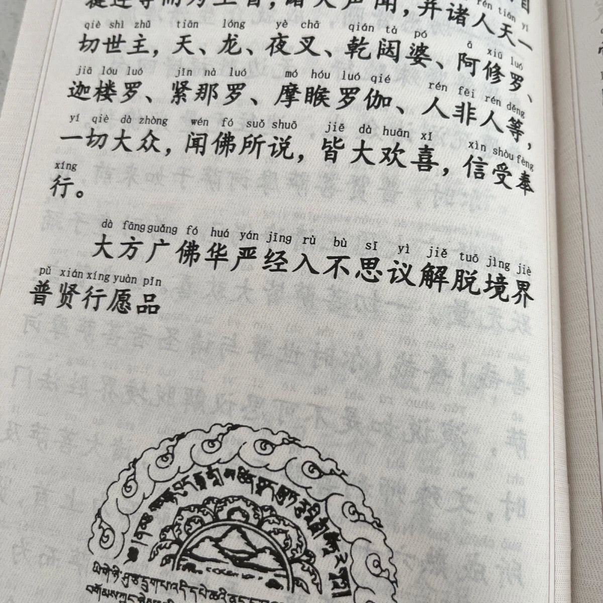 Large Print Universal Worthy Vows Sutra 32K Pinyin Two-Color Buddhist Textbook 07FC0E-D4 - KOEEK